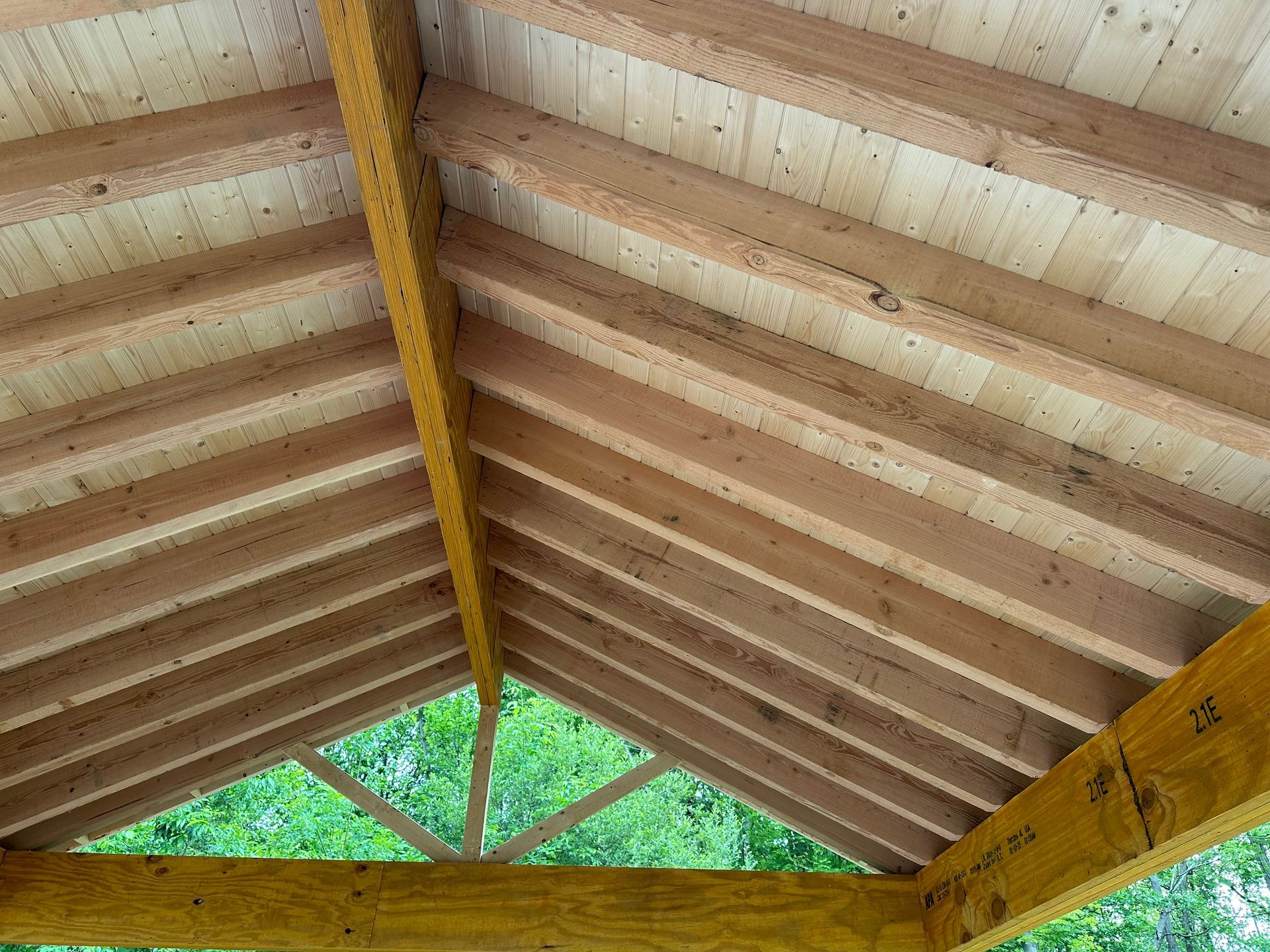 A low-angle view of a wooden gable roof structure with exposed rafters and beams against a bright green leafy background.