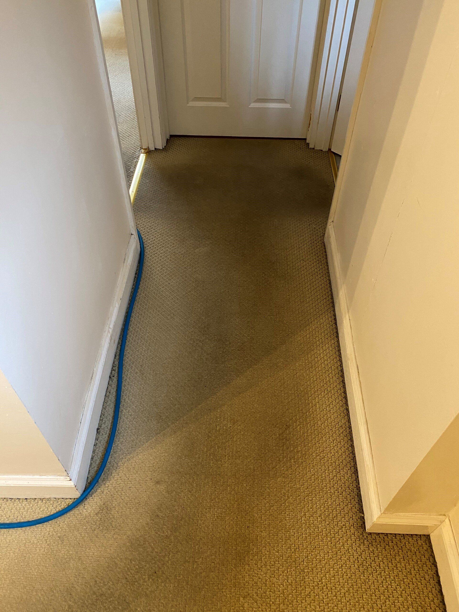 a hallway with a carpeted floor and a door .