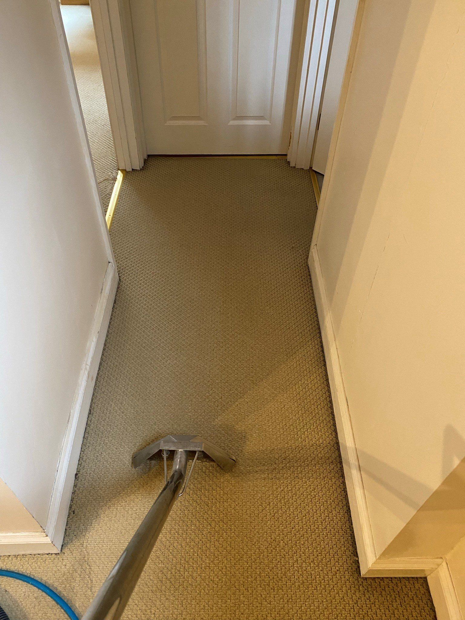 a vacuum cleaner is cleaning a carpet in a hallway .