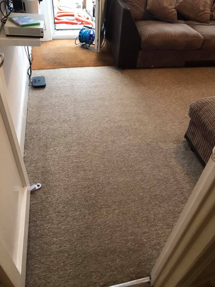 a living room with a couch and a rug on the floor .