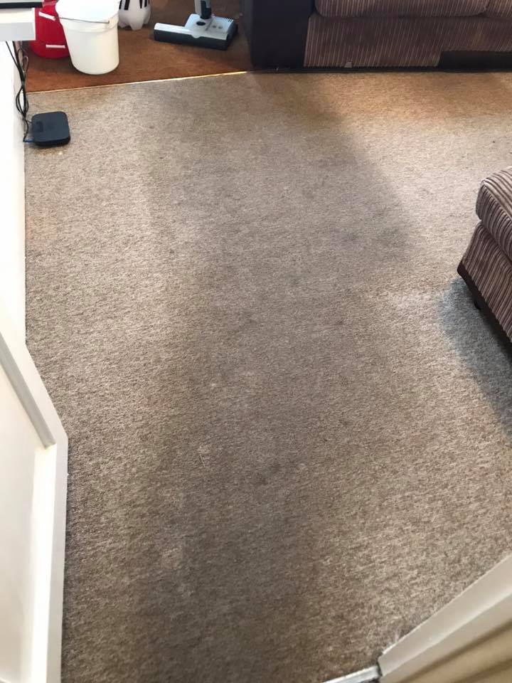 a living room with a couch and a vacuum cleaner on the floor .
