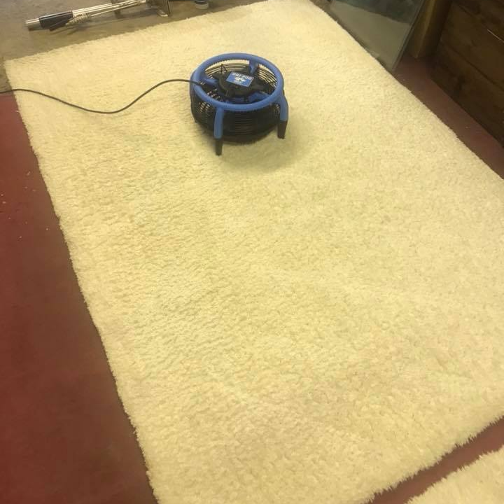 a blue fan is sitting on top of a white rug .