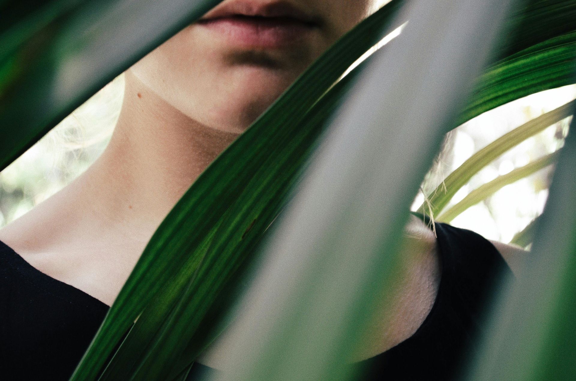 somatic exercises. Image of Half a person's face behind leaves.