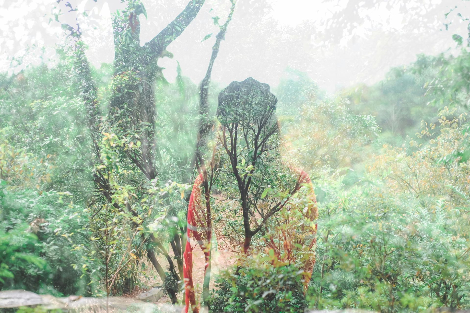Silhouette of a woman overlaid with green plants. 