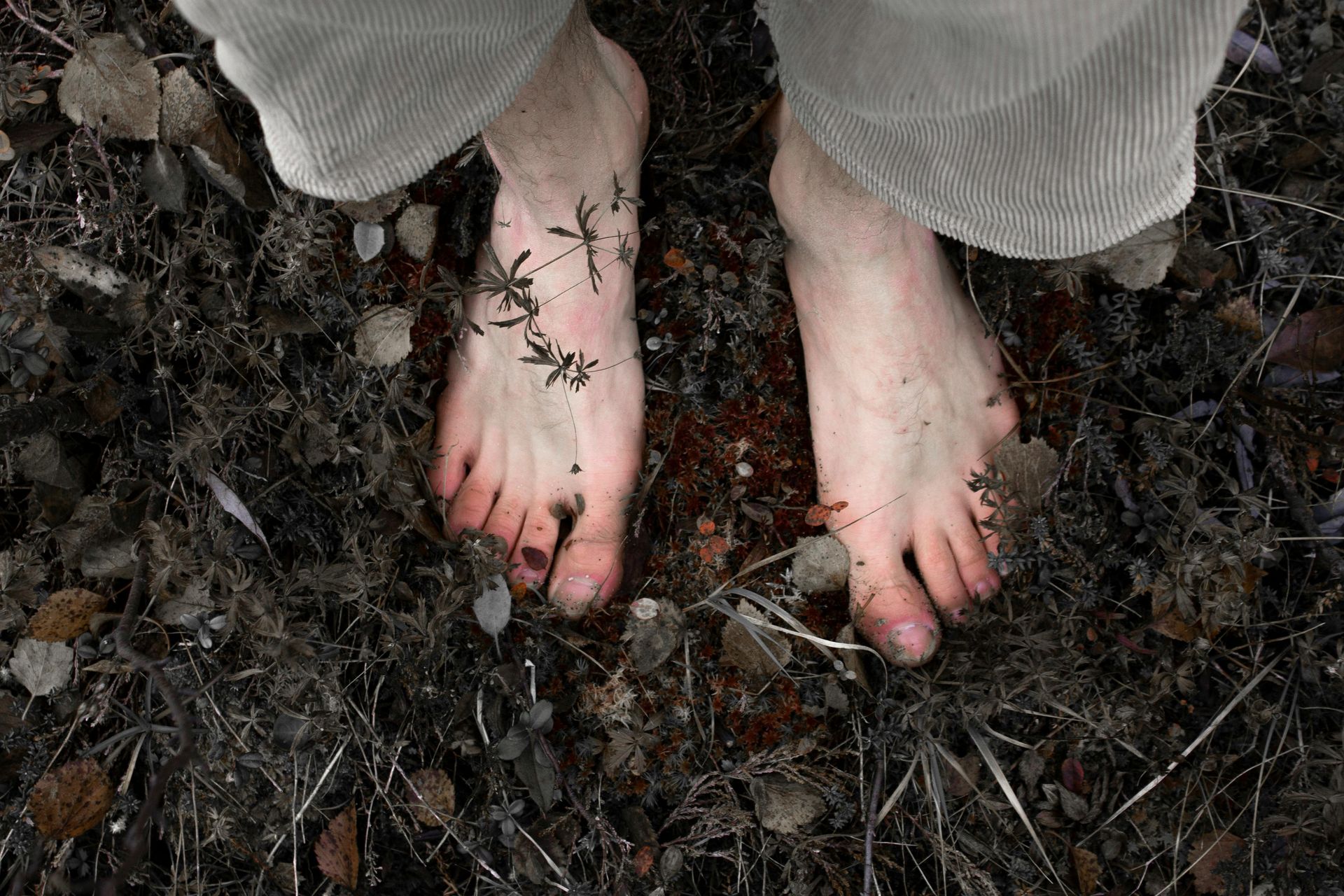 somatic exercises. Image of a pair of bare feet in foliage. 