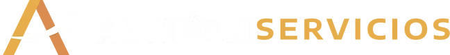 Logotipo naranja de &ldquo;SERVICIOS&rdquo; con icono triangular estilizado sobre fondo blanco.