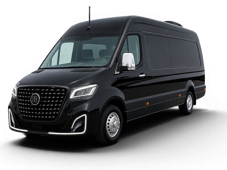 Sprinter Mercedes negra de carga vista de perfil sobre fondo blanco.