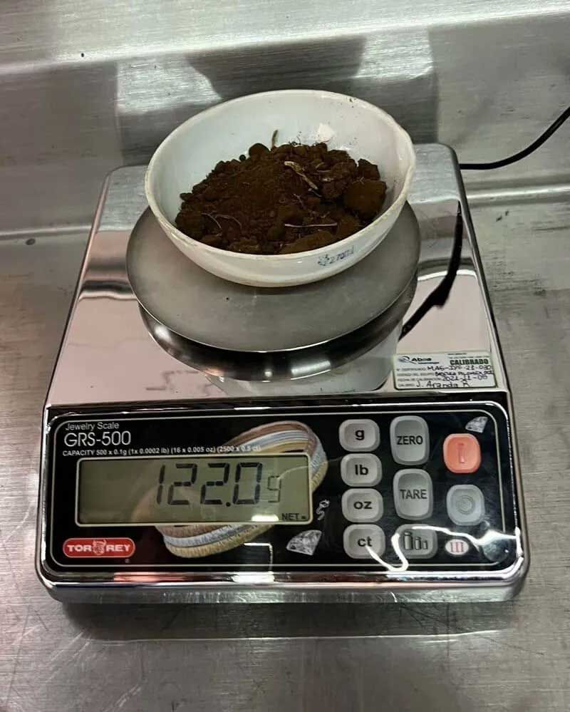 PILOMEX LABORATORIO
