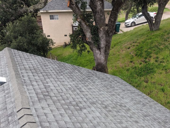 Roof Soft Washing