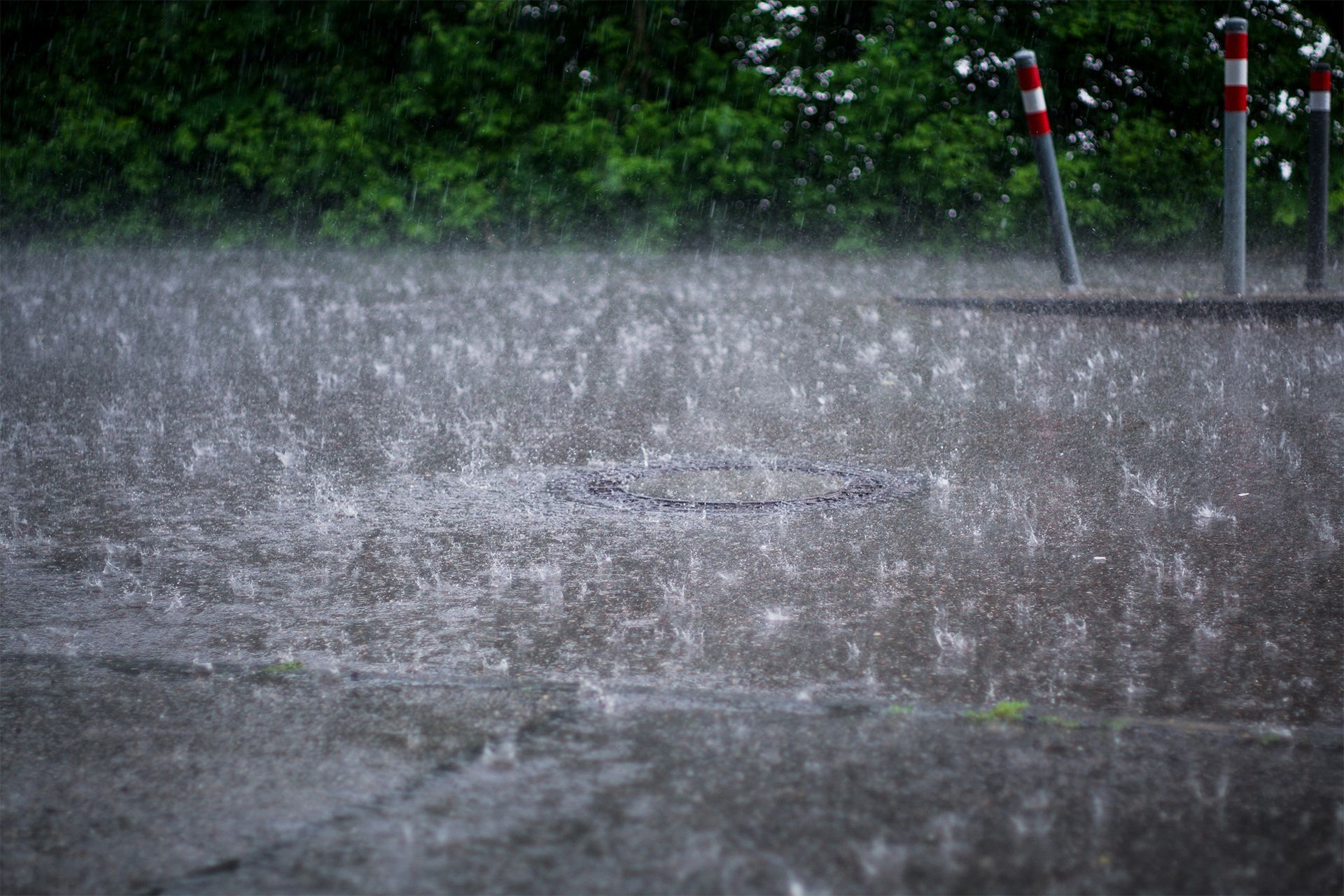 Heavy rain splashing on a wet road near green bushes and red-and-white roadside posts.