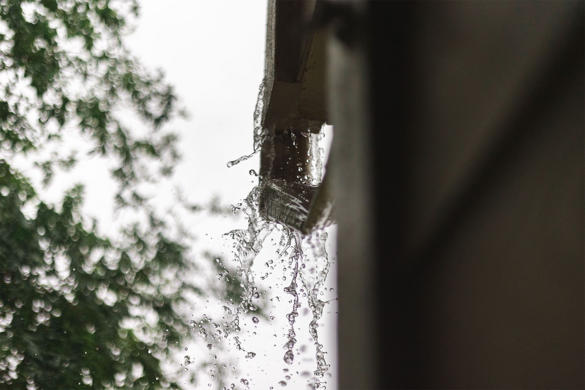 Rainwater dripping from a gutter beside a blurred tree and building exterior.