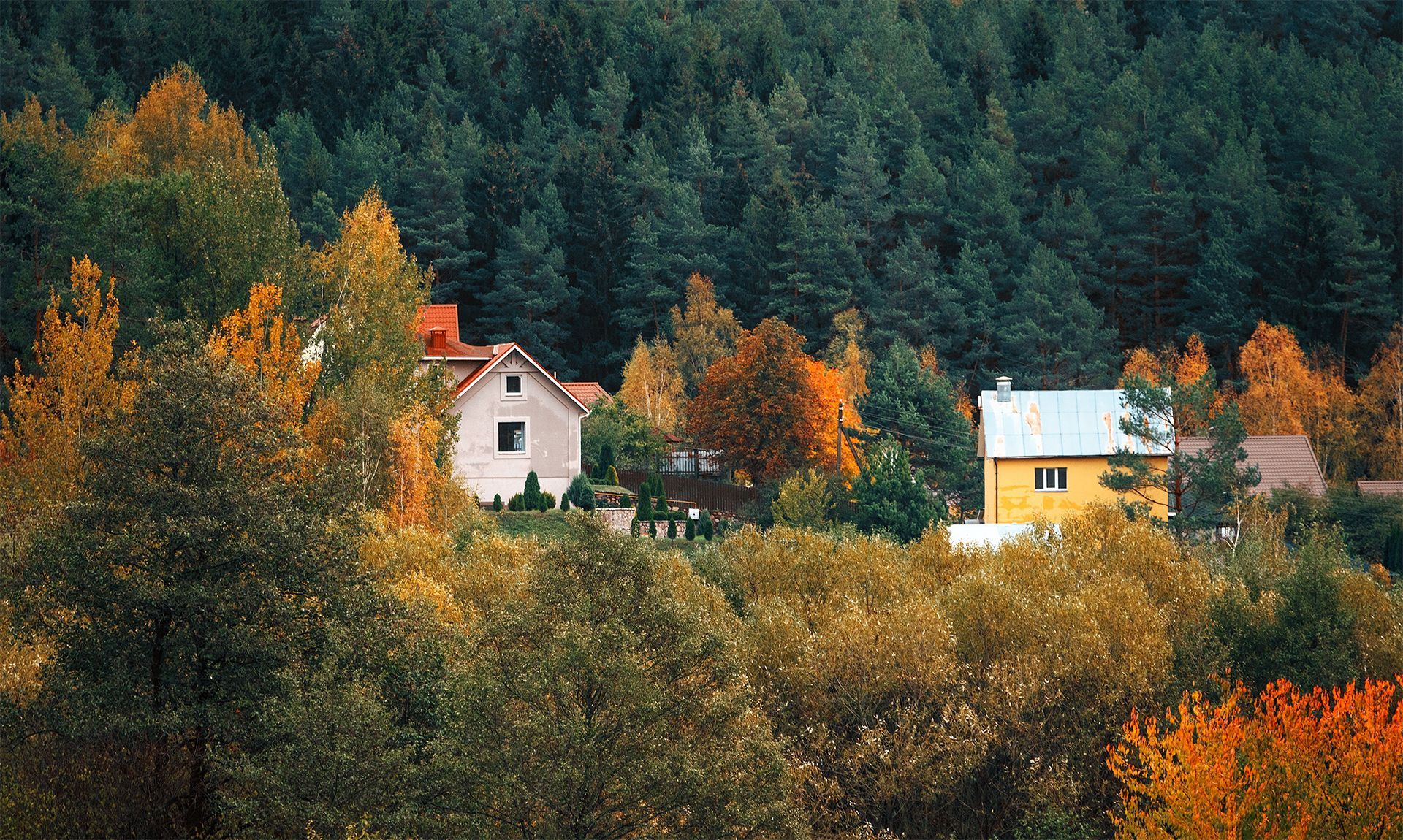 Two houses amid autumn trees in a forested hillside landscape.