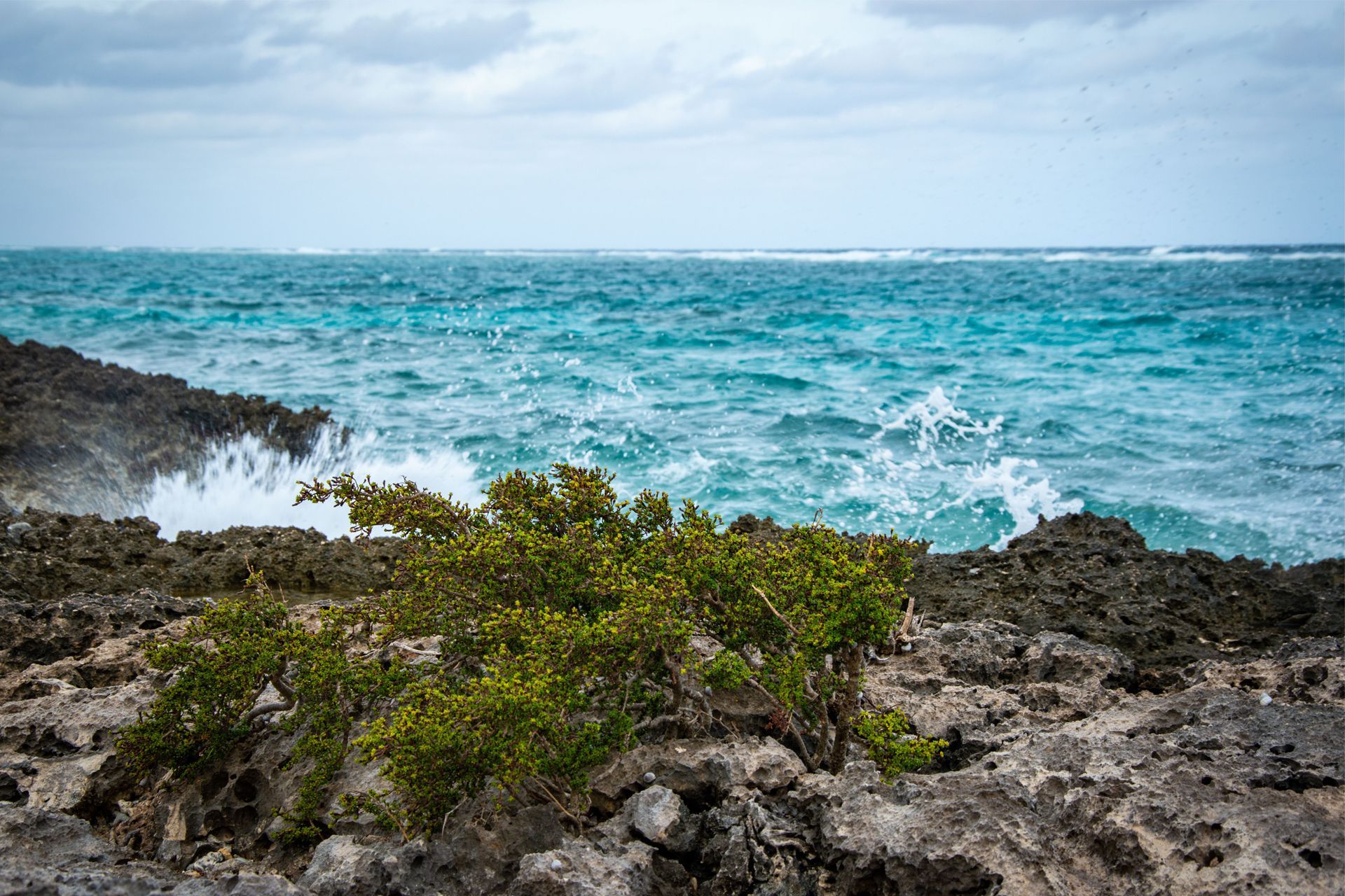 Rocky shoreline with green shrubs and turquoise ocean waves under a cloudy sky.