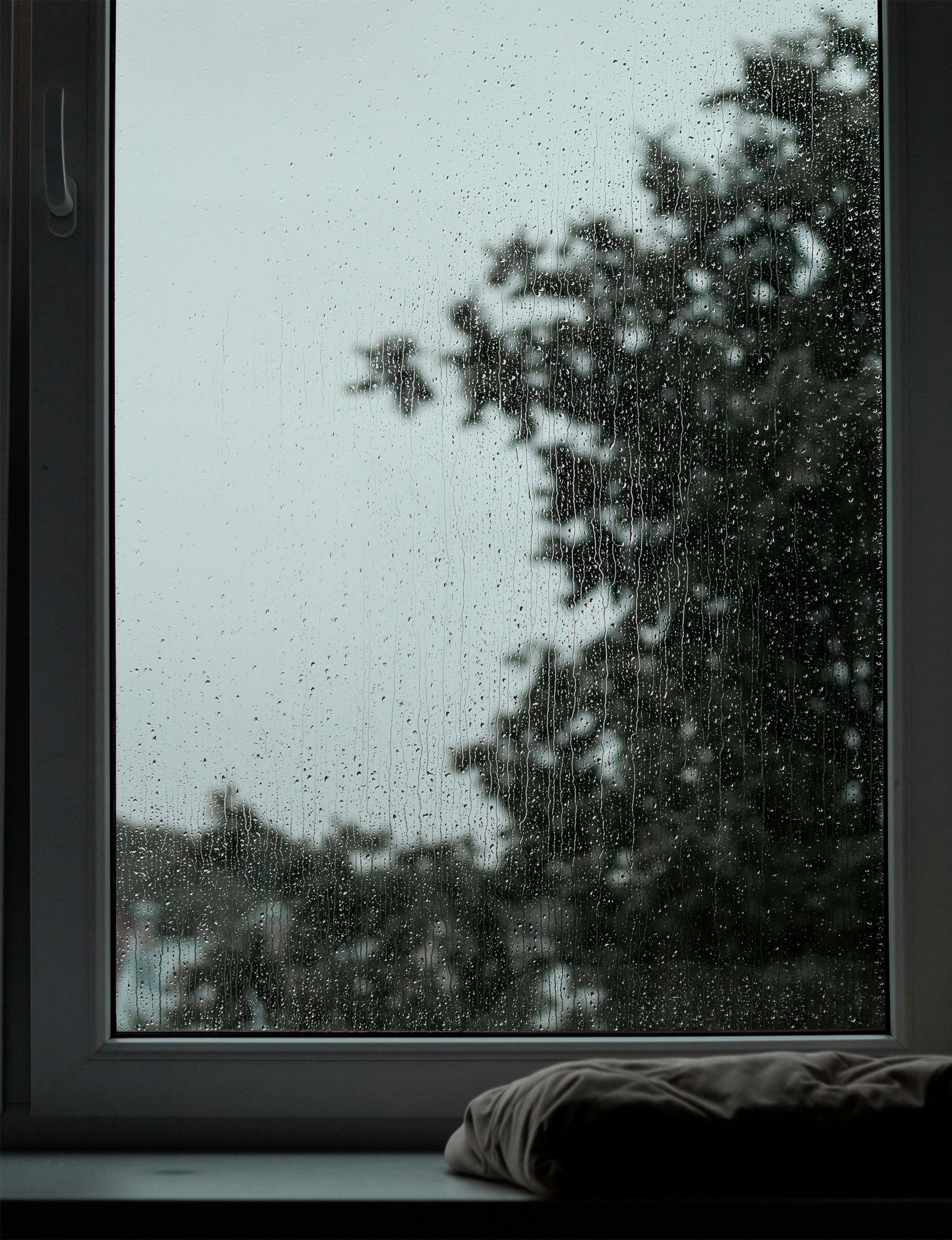 Rainy window view with trees silhouetted outside and a windowsill in the foreground.