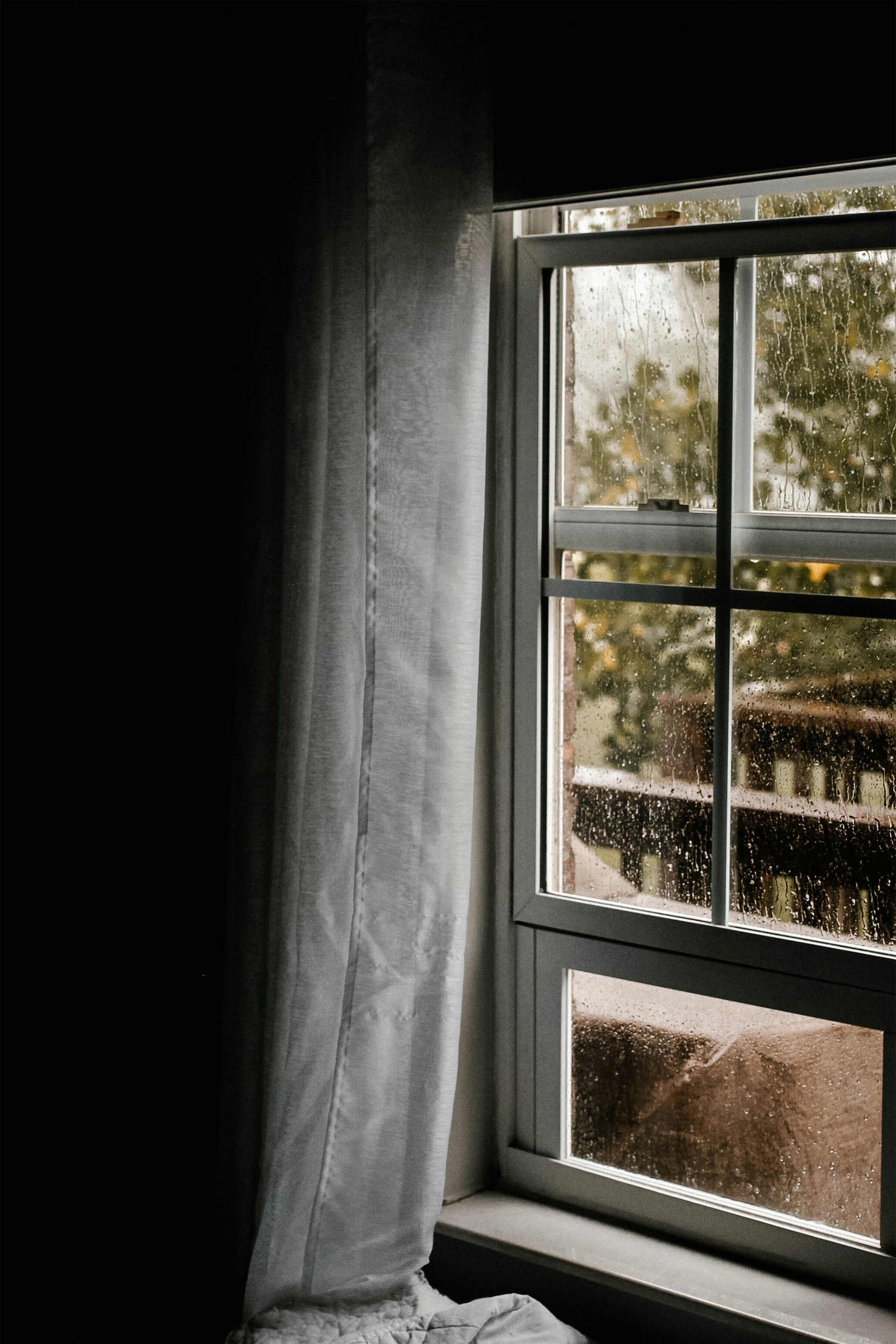 Curtained window with white frame, sunlight, and trees visible outside.