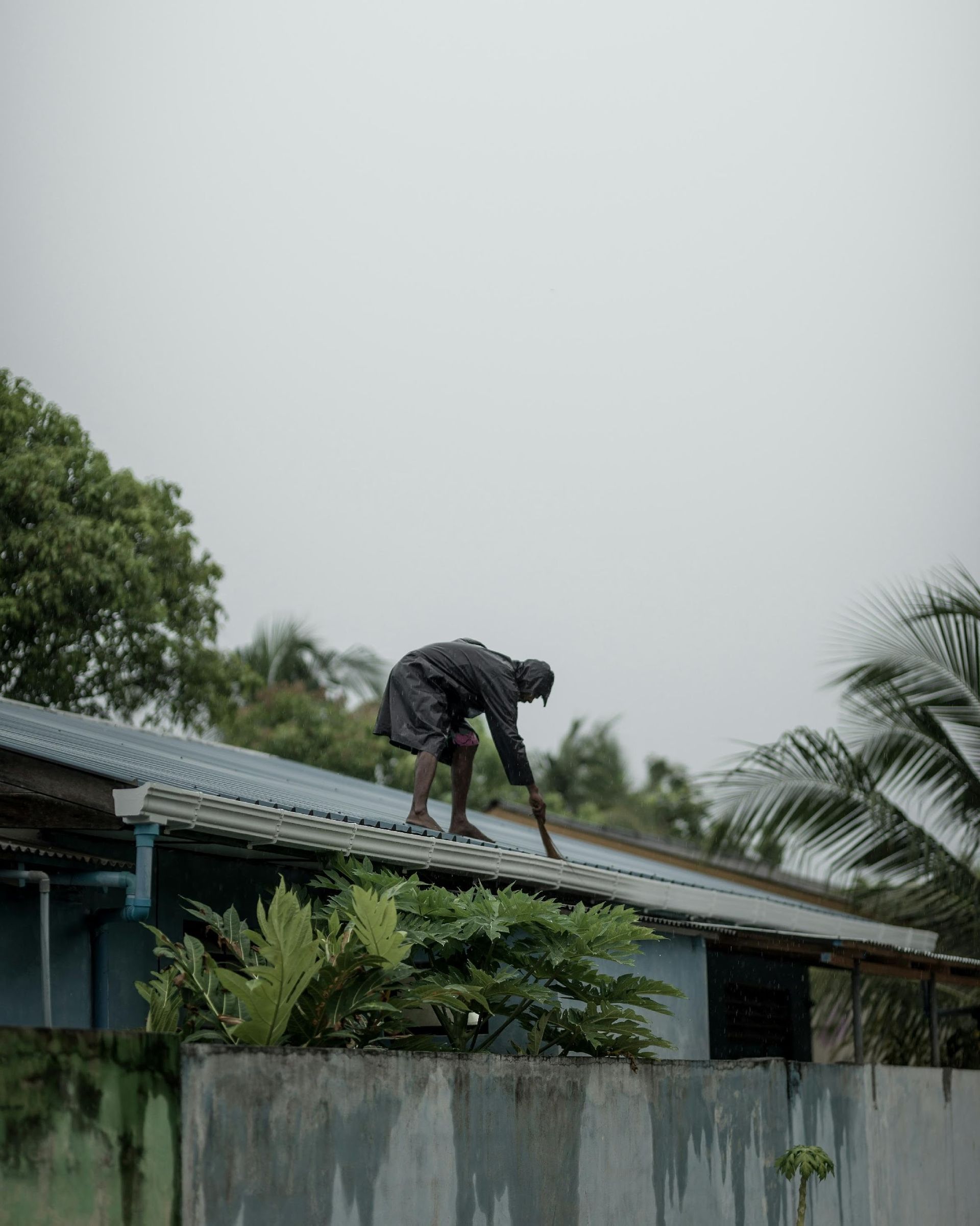 Gutter cleaning