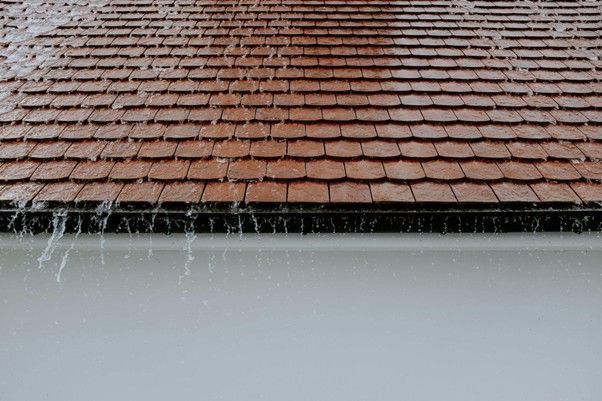 Gutter neglect damage 