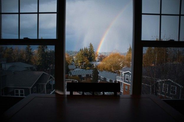 Storm Window Cleaning