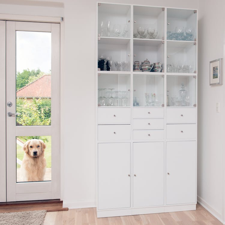 Pet friendly cleaning,