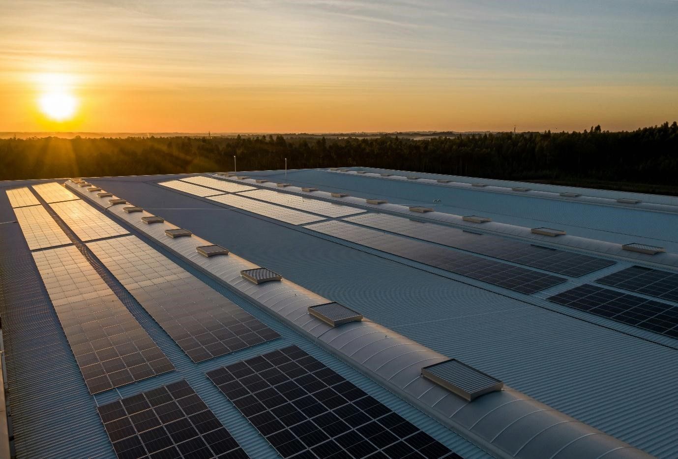 Solar panel cleaning