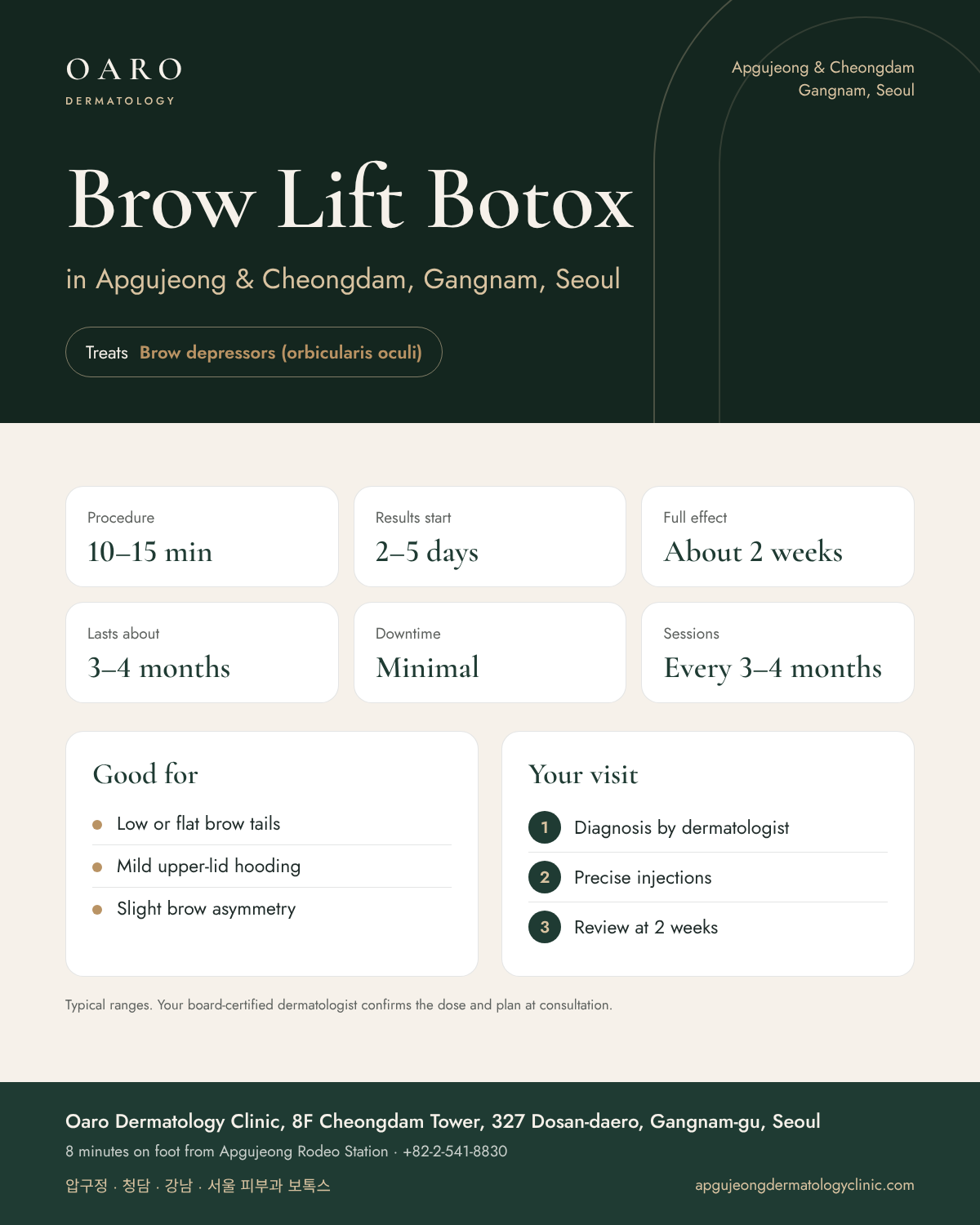 Brow Lift Botox infographic: treatment time, results and recovery at Oaro Dermatology Clinic in Apgujeong & Cheongdam, Gangnam, Seoul
