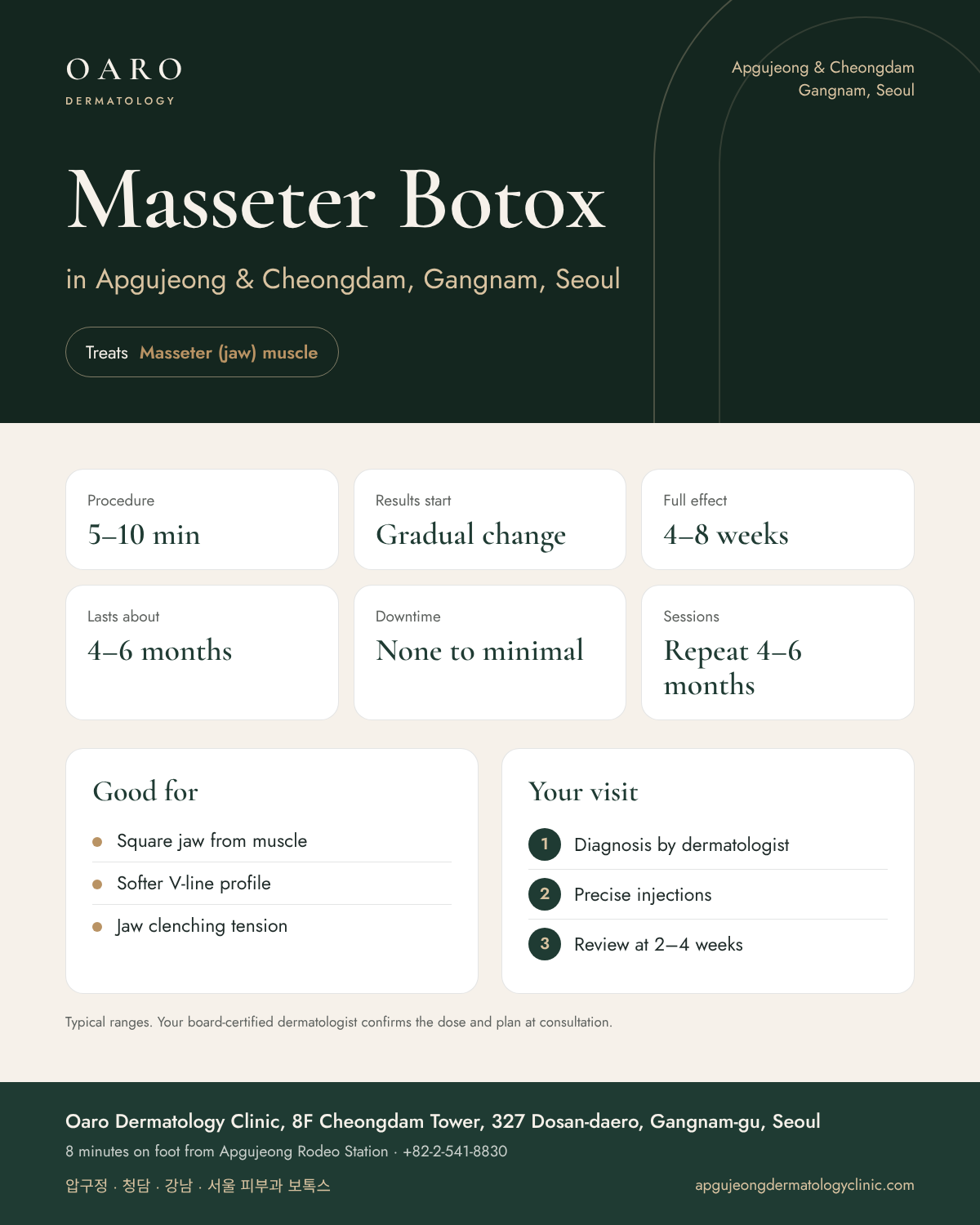 Masseter Botox infographic: treatment time, results and recovery at Oaro Dermatology Clinic in Apgujeong & Cheongdam, Gangnam, Seoul