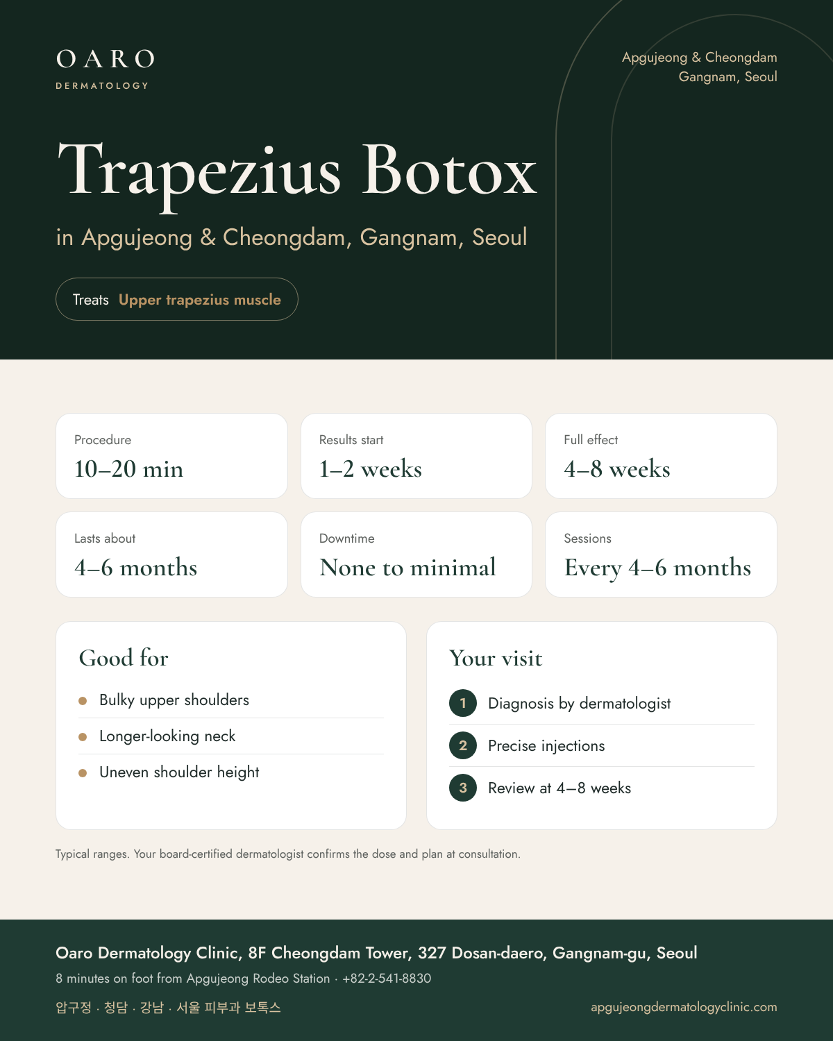 Trapezius Botox infographic: treatment time, results and recovery at Oaro Dermatology Clinic in Apgujeong & Cheongdam, Gangnam, Seoul