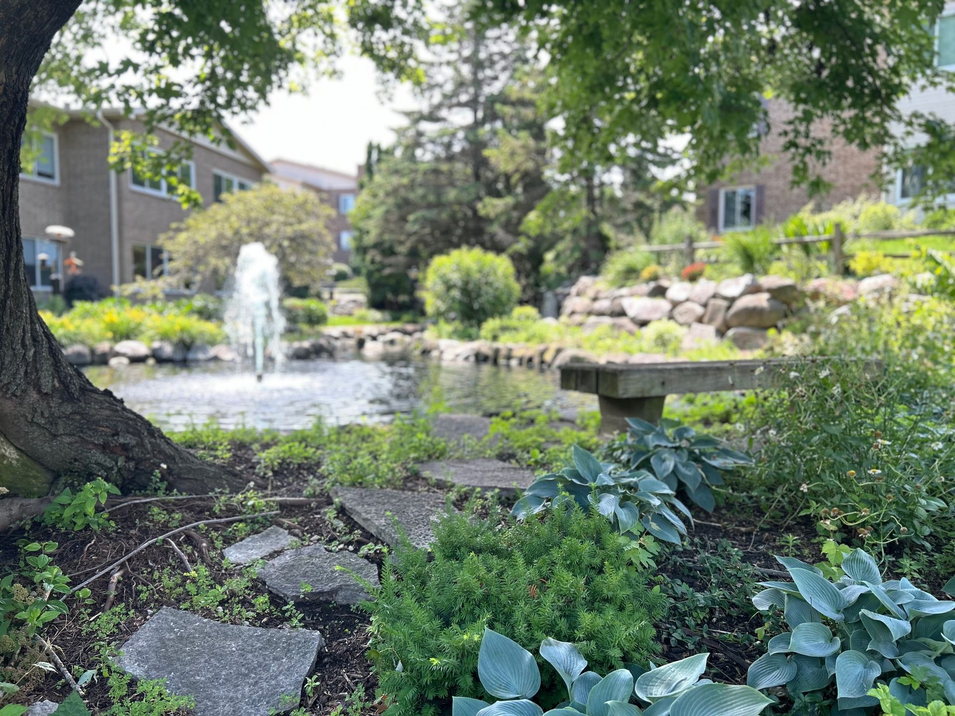Gallery image with a fresh perspective