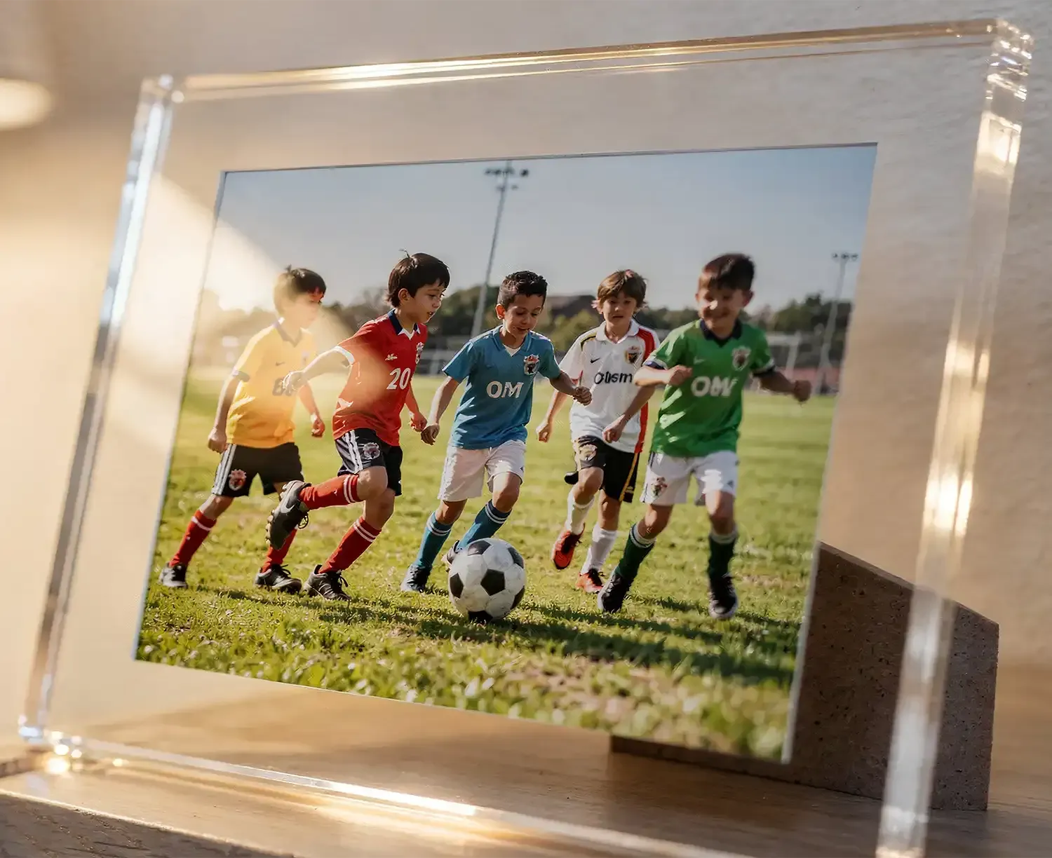 Video Print Display