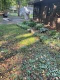There is a house in the background and a lot of leaves on the ground