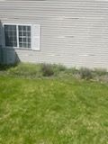 A house with a lot of grass in front of it and a window