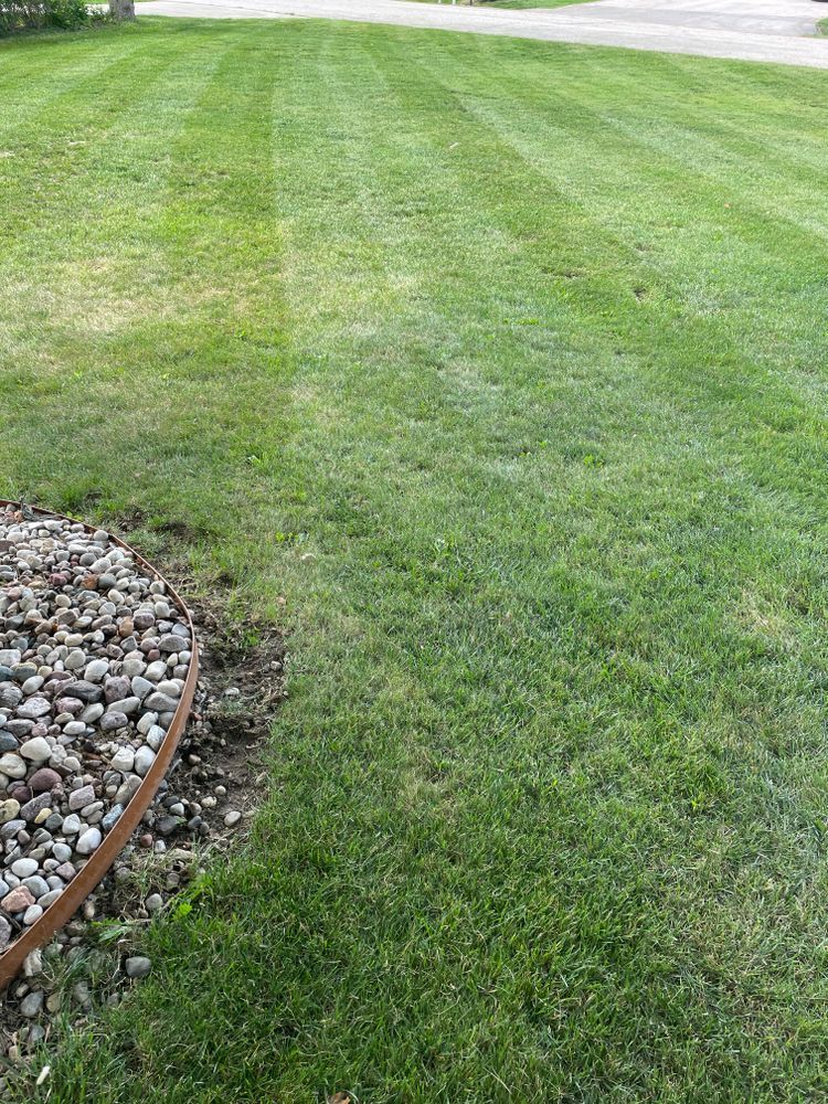 A lush green lawn with a rock border in the middle of it