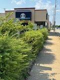 A building with a skull on the side of it is surrounded by trees and bushes