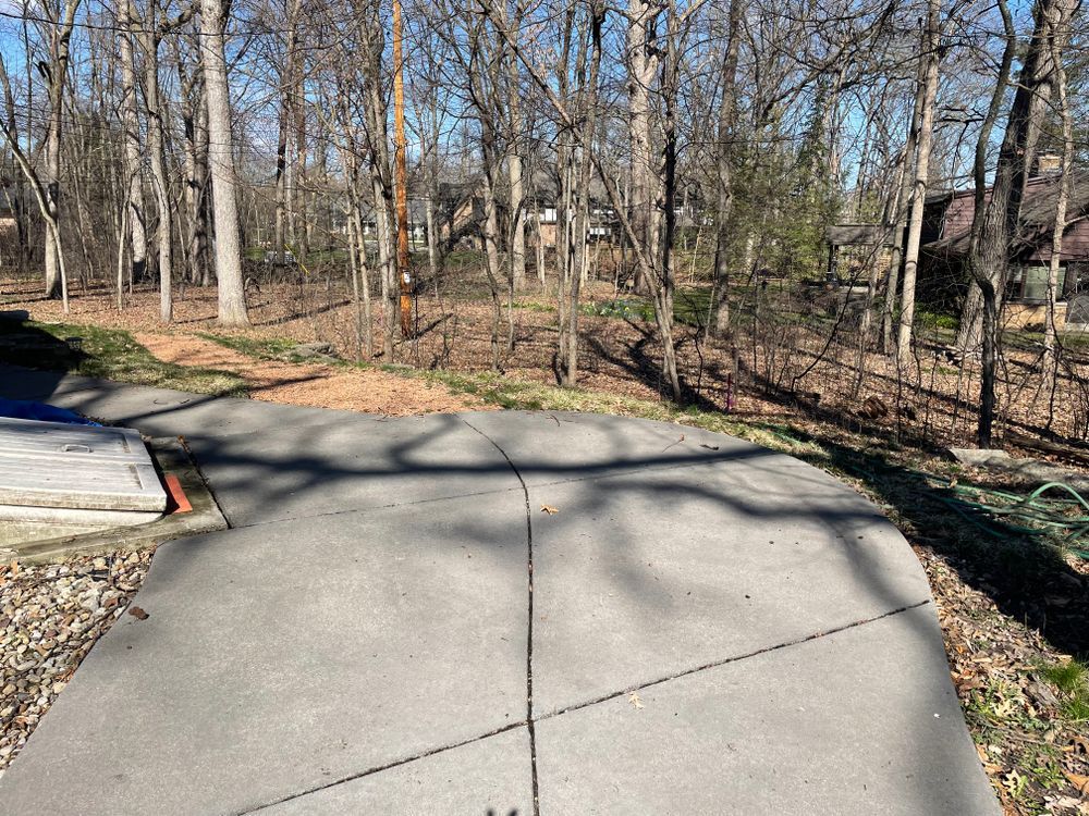 A concrete walkway leading to a forest with trees on both sides