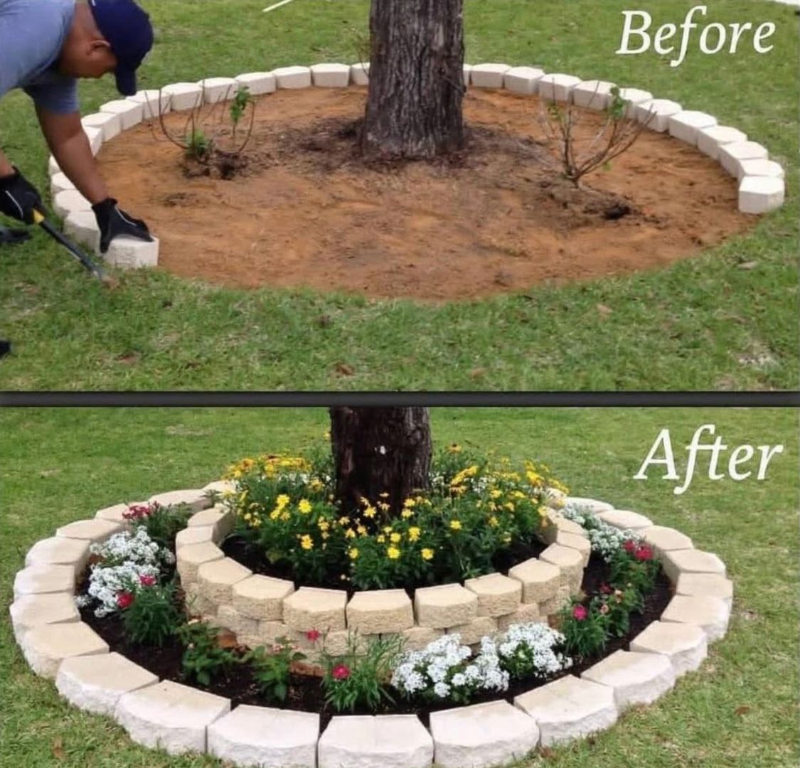 Before-and-after of a tree ring garden: bare soil becomes a flower bed with stone edging and blooming plants.