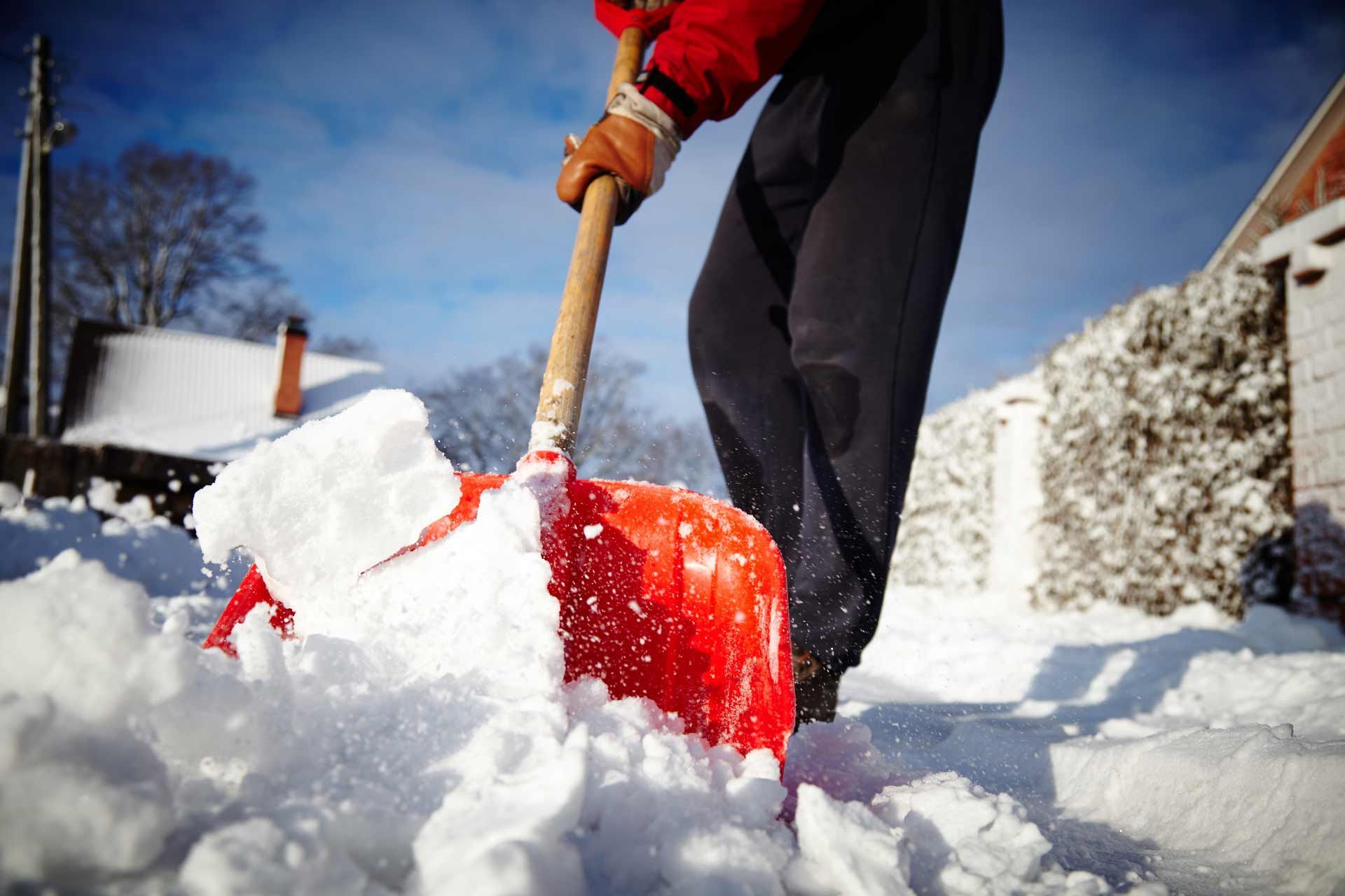 A person is shoveling snow with a red shovel