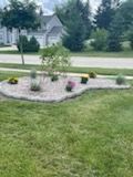 A lush green lawn with a garden in the middle of it