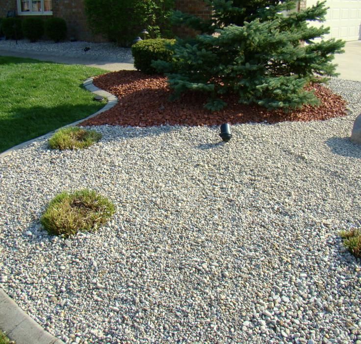 Landscaped yard with gravel ground cover, small shrubs, and a pine tree bordered by red mulch