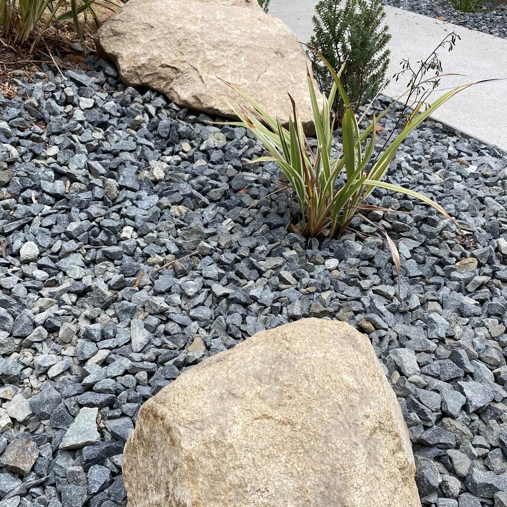 Rock garden with gray gravel, tan boulders, and a small green plant.