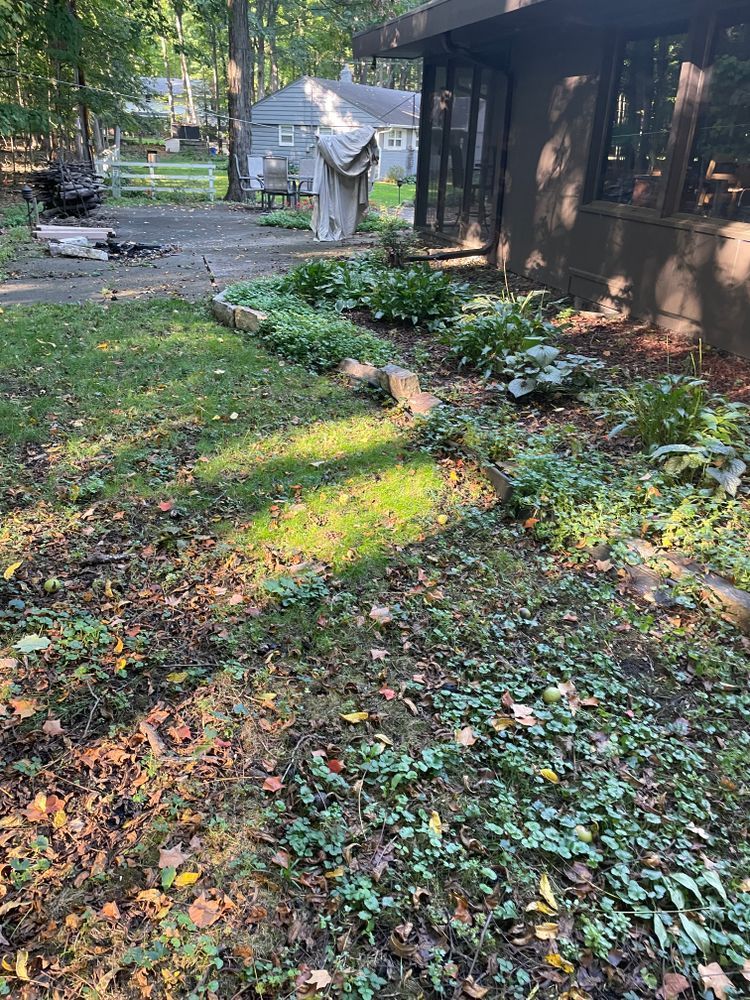 A dog is laying in the grass in front of a house