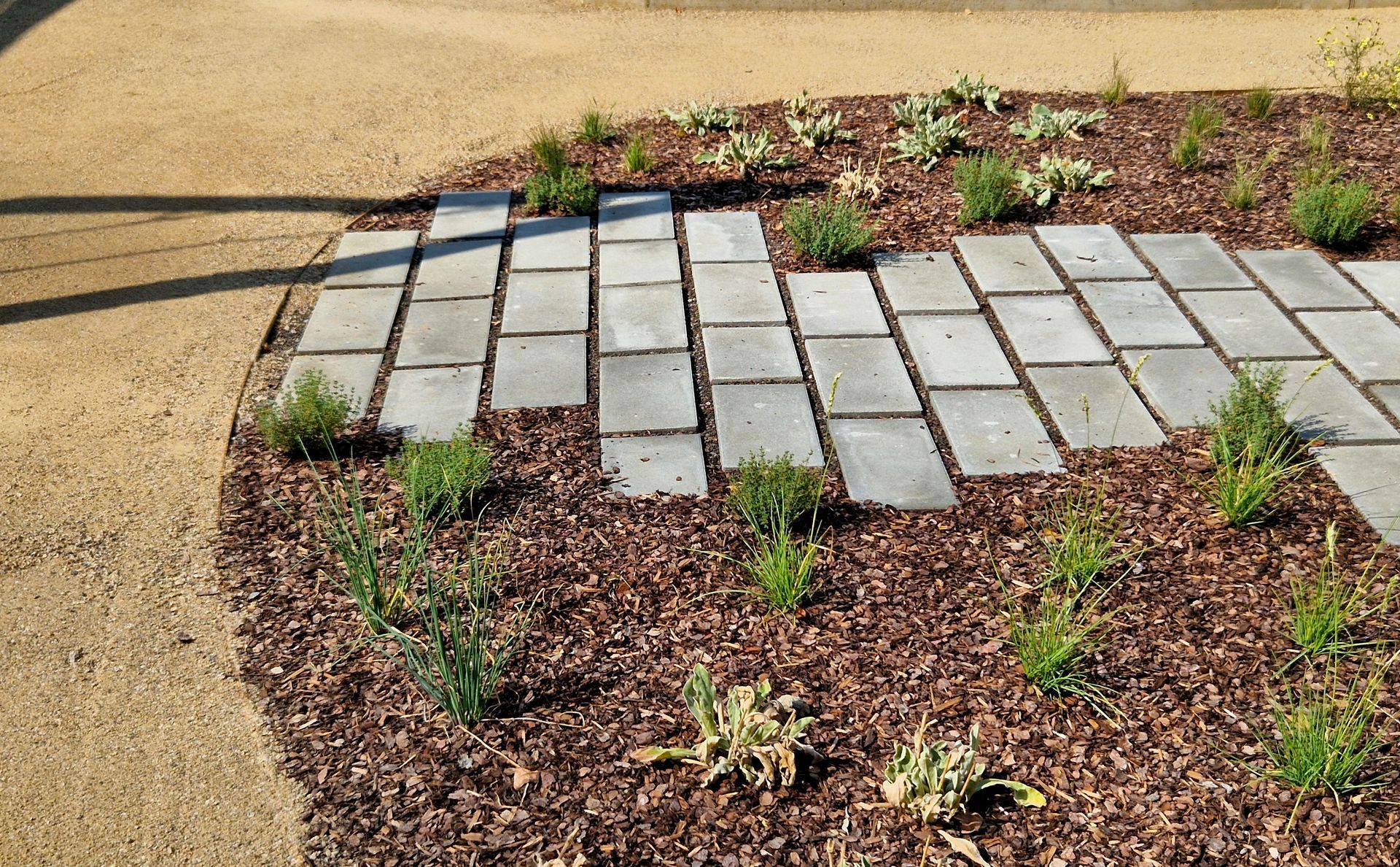 Curved concrete paver path under construction in a mulched garden bed beside a driveway