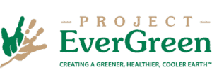 Project Evergreen