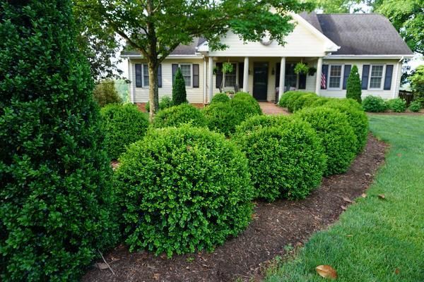 White house with a front porch, framed by lush green shrubs and a curved mulched garden bed.