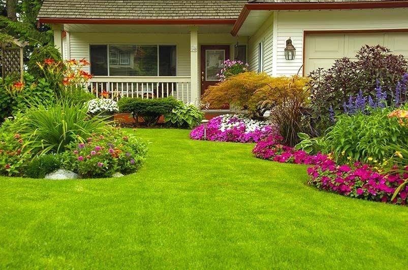Lush front yard garden with bright flowers leading to a white house porch