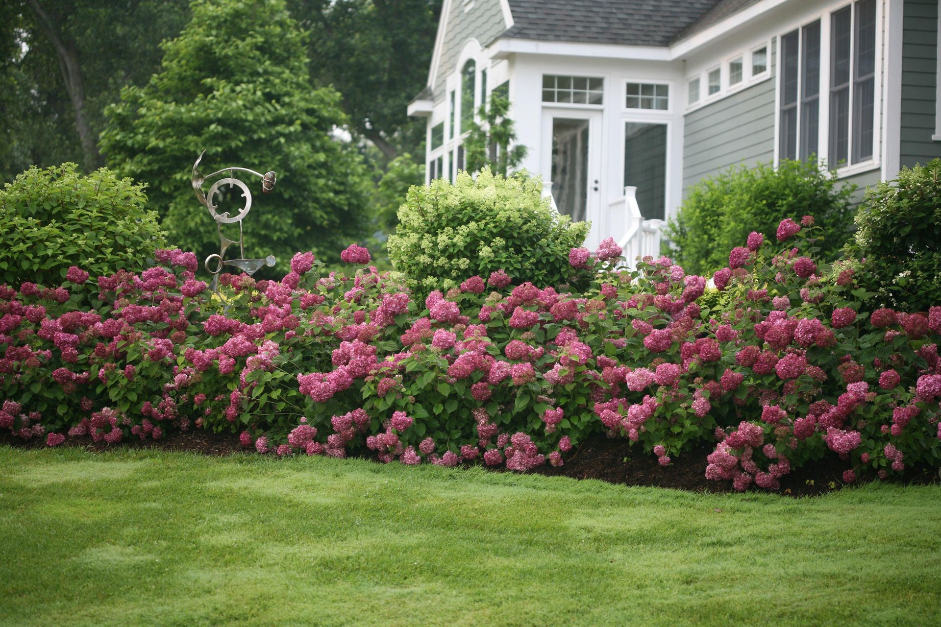 Suburban house with white trim beside a lush lawn and pink flowering bushes