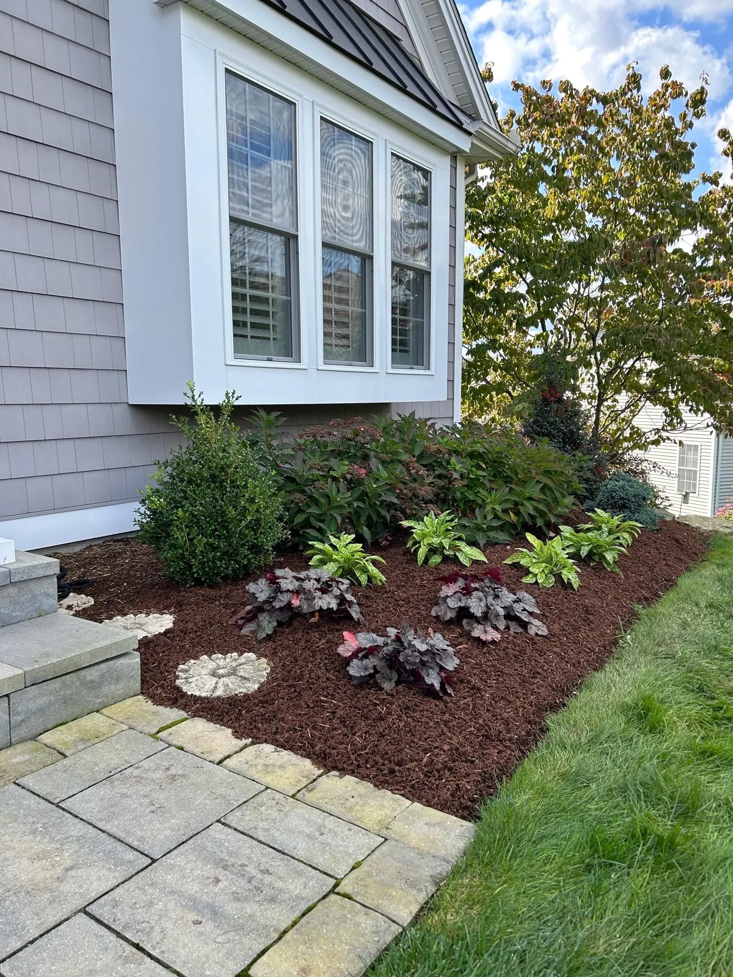 Front yard garden bed with mulch, shrubs, pavers, and a gray house window beside a green lawn