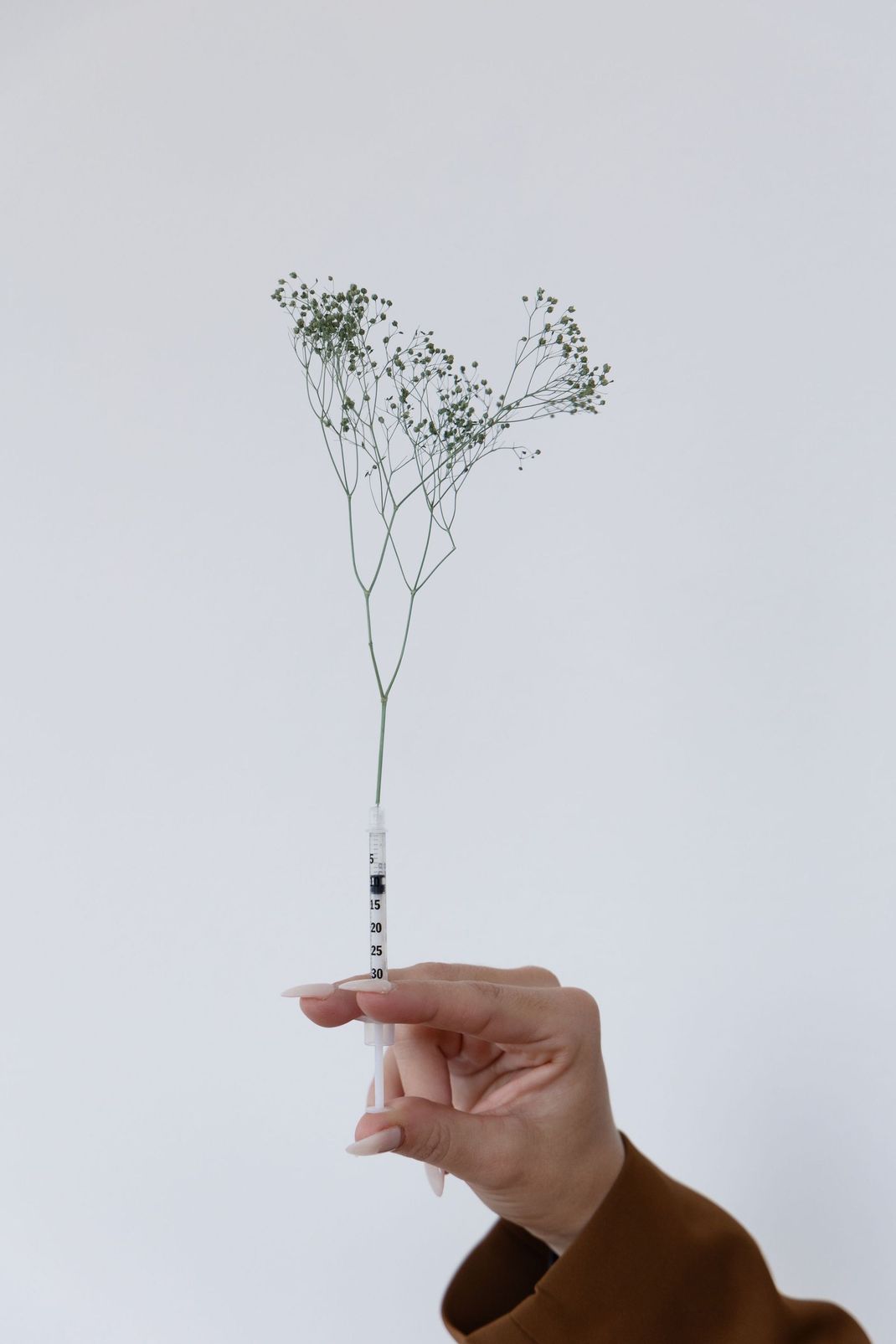 Background image of a plant
