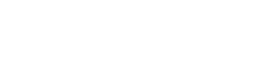 Nourish Skin and Wellness banner logo