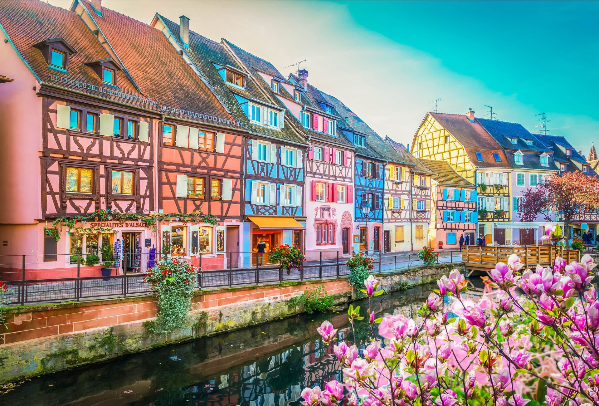 Maisons à colombages colorées le long d'un canal, avec des fleurs roses au premier plan sous un ciel d'un bleu éclatant