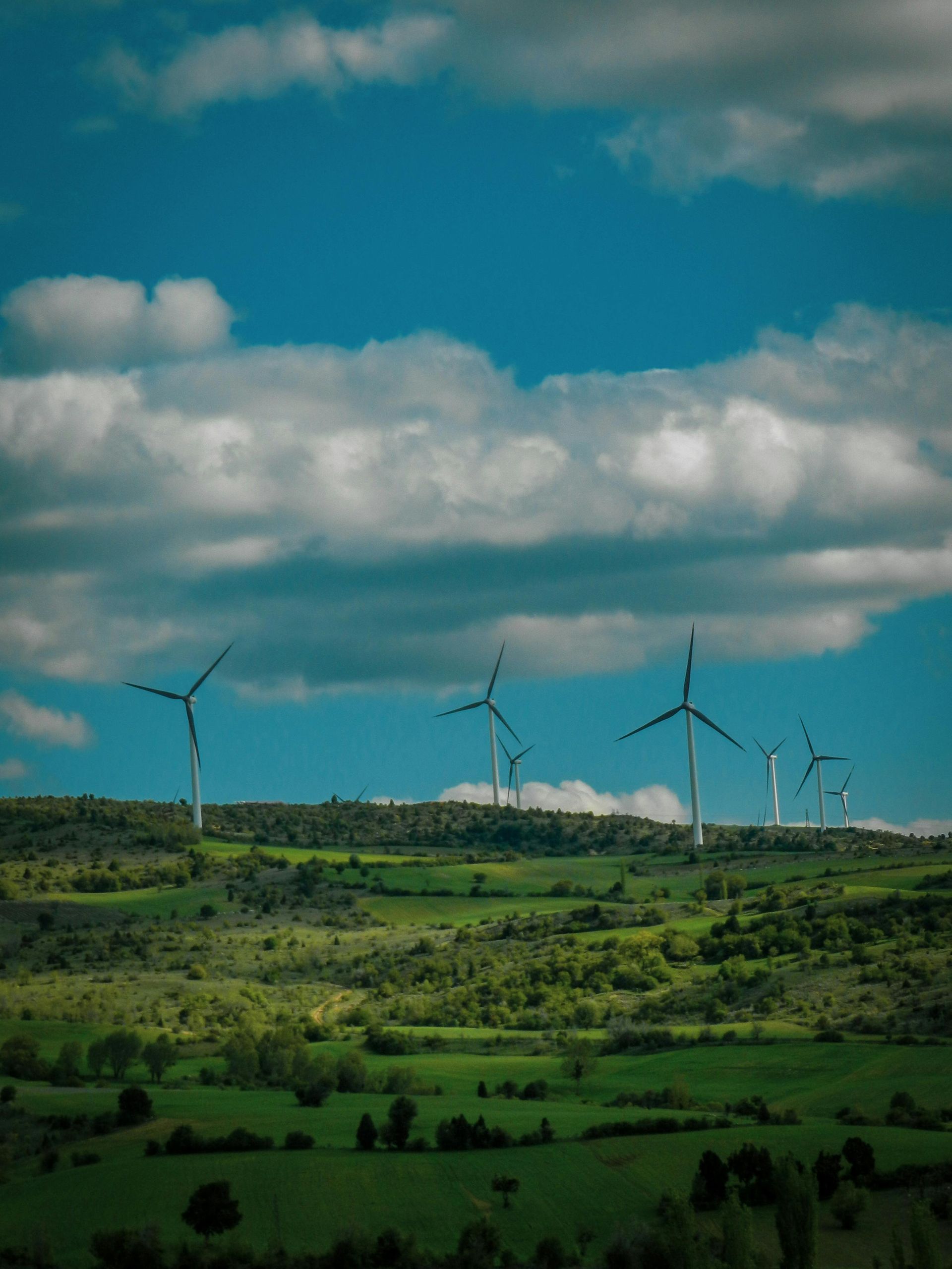 Des éoliennes sur une colline verdoyante sous un ciel bleu parsemé de nuages ​​épars.
